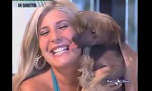 Oops Upskirt as she picks up a puppy on TV